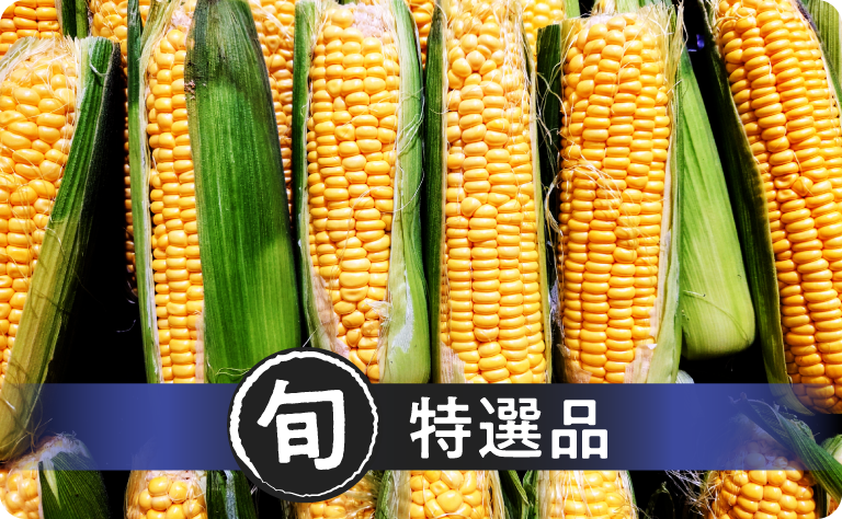 旬・特選品